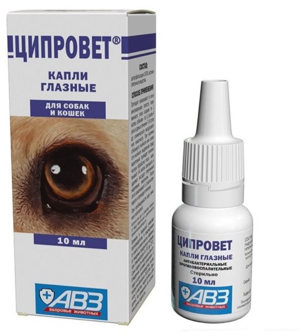 Ciprovet ციპროვეტი - ძაღლის და კატის თვალის წვეთები