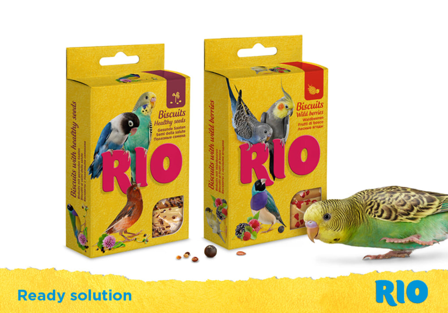 Rio რიო თუთიყუშის საკვები ორცხობილა მცენარეების თესლით